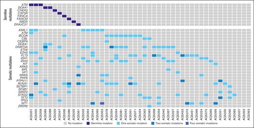 Somatic mutations of recurrently mutated genes from patients with detected LP/P GVs.
