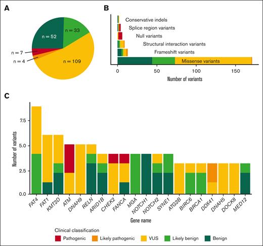 Summary of the type and classification of germ line variants. (A) Absolute frequency of all detected GVs based on their clinical classification. (B) Absolute number of GVs classified by type of variant and colored per clinical classification. (C) Number of variants found in the more frequently altered genes and their clinical classification.