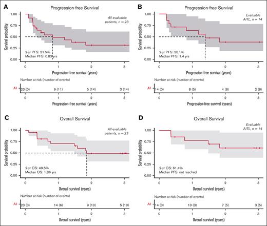 Kaplan-Meier survival curves. PFS for all patients (A) and AITL subset (B). OS for all patients (C) and AITL subset (D).