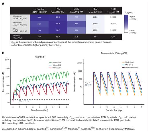 Inhibition of ACVR1 by JAK inhibitors. (A) Strength of inhibition of ACVR1 by JAK2 inhibitors. The IC50 is shown in comparison with the Cmax achieved clinically. (B) Simulated free drug concentration for pacritinib and momelotinib relative to ACVR1 IC50. Data plotted as median concentration of free drug over time through steady state for pacritinib and for momelotinib (MMB) and its metabolite (M21).