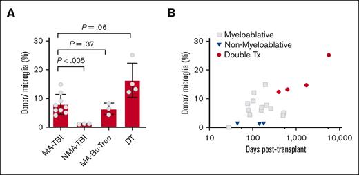 Effect of pretransplantation conditioning on donor cell engraftment in the cerebral cortex. (A) Percentage of male donor cells identified in cerebral cortex biopsy specimen from patients conditioned with MA-TBI (TBI >1000 cGy), NMA-TBI, nonmyeloablative conditioning, (TBI <300 cGy), MA-Bu-Treo, or 2 separate stem cell transplantations (double Tx). Data are expressed as donor cell percentage relative to total number of microglial cells. Microglia cells represent ∼12% of the cellularity in the cerebral cortex, based on parallel IBA1 IHC studies (supplemental Figure 2). (B) Effect of posttransplantation survival on donor cell engraftment in the cerebral cortex. The data are expressed as the percentage of donor cells relative to the total number of microglial cells. Gray square, myeloablative transplantation; blue inverted triangle, nonmyeloablative transplantation; red circle, double transplantations. DTs, double transplantations; MA-Bu-Treo, busulfan- or treosulfan-based myeloablation; MA-TBI, TBI-based myeloablation; NMA-TBI, TBI-based nonmyeloablation.