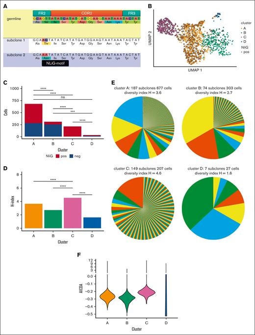 Expression of BCR with NliG-motif affects gene expression and subclonal diversity. (A) Partial heavy chain sequences of germ line, NliG-motif–negative subclone 1, and NliG motif–positive subclone 2. Nucleotide and amino acid substitutions in subclones 1 and 2 compared with those in the germ line are highlighted. The NliG motif is annotated in black. (B) Uniform manifold approximation and projection (UMAP) dimensionality reduction and clustering of single FL cells based on the transcriptome profiles. (C) Distribution of NliG motif–negative cells and NliG motif–positive cells per gene expression cluster. (D) Shannon-Weaver indices of diversity were calculated and compared according to Hutchenson's method and corrected for multiple testing. (E) BCR subclonal composition per gene expression cluster. Shannon-Weaver index of diversity (H) is included in the graph titles. Pie colors are randomly picked and are not associated with gene expression clusters. (F) Mean AICDA gene expression between gene expression clusters. pos, positive; neg, negative; ns, not significant.