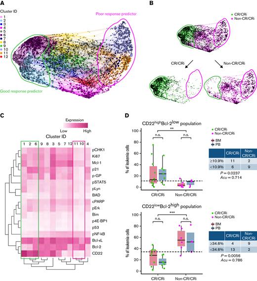 High-dimensional CyTOF profiling identifies leukemic cell population that could predict InO therapeutic response. (A) Force-directed clustering plot shows the relationships between leukemia cell communities identified according to multidimensional analysis (pretreatment data compiled from 6 CR/CRi patients and 3 non-CR/CRi patients in the training cohort). Each node is an aggregation of similar phenotypic cells resulting from downsampling of data and collection of similar nodes from 12 distinct leukemia cell clusters, showing distance indicative of phenotypic similarities among clusters. (B) Clustering plots of the pretreatment samples colored according to response outcomes: CR/CRi patients (green) and non-CR/CRi patients (pink). Bulk plots (top) and extracted plots of CR/CRi and non-CR/CRi patients (bottom) are depicted. For panels A and B, colored shapes delineate potential leukemia cell clusters of good response predictor (green) and poor response predictor (pink). (C) Heatmap showing the differential expression of CD22 and intracellular molecules used for clustering and community identification in the multidimensional analysis in panel A. Colored boxes indicate the leukemia profile of good (green) and poor (pink) response predictors identified in panel A. (D) Frequencies of CD22highBcl-2low cells and CD22lowBcl-2high cells at pretreatment in CR/CRi (n = 17) and non-CR/CRi patients (n = 11) are shown. Boxplots reflect whether samples were obtained from bone marrow (BM) (red) or peripheral blood (PB) (blue). Table data insets indicate the number of patients within each therapeutic response category above or below the threshold set by the application of the prediction tool. Application of predictive values was analyzed by using Fisher’s exact test. Statistical significance was analyzed by using a t test. ∗∗P < .01, ∗∗∗P < .001. n.s., not significant.