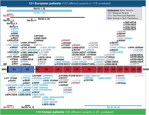 Distribution of the 154 different unique variants identified in the 3WINTERS-IPS cohort. A schmatic representation of the pro-VWF polypeptide with the homologous repeated domain structure. Variants identified in the European population are reported at the top; those found in the Iranian population are reported at the bottom. The candidate missense mutations are reported in italics, and the potential splice site mutations are undefined. The 5 variants identified in both populations are reported in red. The variants not previously reported in the EAHAD, HGMD, or Ensembl databases are reported in blue.