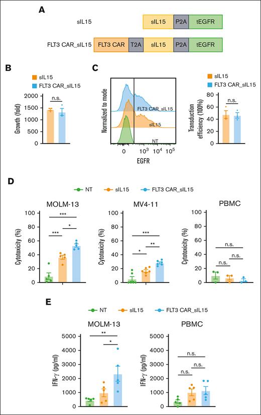 FLT3 CAR_sIL-15 cord blood NK cells enhance cytotoxicity against FLT3+ AML. (A) Scheme of FLT3 CAR_sIL-15 and its parental control (sIL-15) vector that expresses IL-15 but not the CAR. tEGFR is coexpressed to serve as a marker. (B) The expansion capacity of primary cord blood NK cells engineered with sIL-15 or FLT3 CAR_sIL-15 after 16 days of culture (n = 3 donors). (C) The transduction efficiencies of FLT3 CAR_sIL-15 NK cells and sIL-15 NK cells are determined based on the expression of tEGFR at the time of harvesting (day 16) (n = 3 donors). (D) The cytotoxicity of NT, sIL-15 NK, and FLT3 CAR_sIL-15 NK cells against FLT3+ AML cells (MOLM-13 or MV-411, n = 6 donors each) or FLT3-negative (FLT3−) cells (PBMC) (n = 3 donors), assessed via flow-based cytotoxicity assay at an E:T ratio of 4:1 for PBMCs and MV-411 and 2:1 for MOLM-13. (E) IFN-γ production of NT, sIL-15 NK, and FLT3 CAR_sIL-15 NK cells (n = 5 donors) against FLT3+ AML cells (MOLM-13) or FLT3− cells (PBMCs) at an E:T ratio of 4:1 for 18 hours and measured by enzyme-linked immunosorbent assay. Data are presented as mean ± SEM. ∗P < .05; ∗∗P < .01; ∗∗∗P < .001.