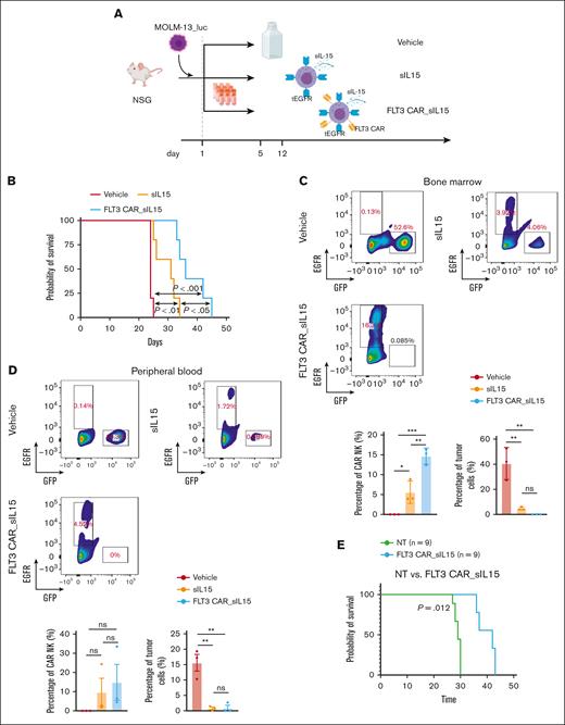 Treatment of a human AML mouse model with off-the-shelf cord blood FLT3 CAR_sIL-15 NK cells. (A) The scheme for treating NSG mice, which received engraftment with the FLT3+ MOLM-13 AML cells, with off-the-shelf sIL-15 NK cells or FLT3 CAR_sIL-15 NK cells. MOLM-13 AML cells expressing luciferase (1 × 104 MOLM-13_luc_GFP cells) were injected into 12-week-old NSG mice on day 1, followed by an infusion of a corresponding treatment (1 × 107 NK cells per dose) on day 5 and day 12, via tail vein injection. (B) Survival analysis was estimated using the Kaplan-Meier method of the mice treated with vehicle (freezing buffer), sIL-15 NK cells, or FLT3 CAR_sIL-15 NK cells; n = 5 mice per group; P value was calculated using log-rank test. (C-D) Fluorescence-activated cell sorting analysis of the cells collected from the BM (C) or the PB (D) of the mice treated with vehicle (freezing buffer), sIL-15 NK cells, or FLT3 CAR_sIL-15 NK cells. The populations of tumor cells and NK cells were gated on GFP and EGFR, respectively; n = 4 mice per group. (E) Tumor-engrafted mice were treated with FLT3 CAR_s15 NK cells (1 × 107 cells per mouse) or vehicle on days 21 and 28. The survival was estimated using the Kaplan-Meier method (n = 9 per group). P value was calculated using log-rank test. The figure was generated with BioRender.com.