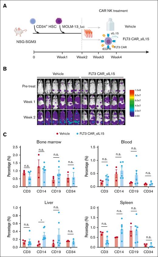 Validation of FLT3 CAR_sIL-15 NK cell safety on human CD34 HSC cells in an AML mouse model. (A) Scheme of CD34+ HSC inoculation and FLT3 CAR_sIL-15 NK cell treatment. NSGS mice first received grafts of CD34+ HSCs (3 × 105 cells), followed 1 week later by receiving FLT3+ AML tumor cell grafts (5 × 105 MOLM-13_luc_GFP cells), which was followed by treatment with off-the-shelf frozen and then thawed (1 × 107 cells) FLT3 CAR_sIL-15 NK cells on days 14 and 21. Mice were euthanized on day 28 and human HSCs along with human lymphocyte subsets were isolated from the mice and subjected to Fluorescence-activated cell sorting analysis. (B) Time-lapsed luciferase images of the mice inoculated with CD34+ HSC and MOLM-13_luc_GFP AML cells and then treated with either vehicle control or FLT3 CAR_sIL-15 NK cells. (C) Fluorescence-activated cell sorting analysis of human B cells (CD19), T cells (CD3), HSCs (CD34), and monocytes (CD14) among the human CD45+ GFP− cells isolated from the BM, PB, liver, and spleen of NSGS mice that received engraftment with CD34+ HSCs (n = 3 or 6 mice per group). Percentages are calculated from cells gated on live human CD45+ GFP− single cells. Data are presented as mean ± SEM; ∗P < .05. The figure was generated with BioRender.com.