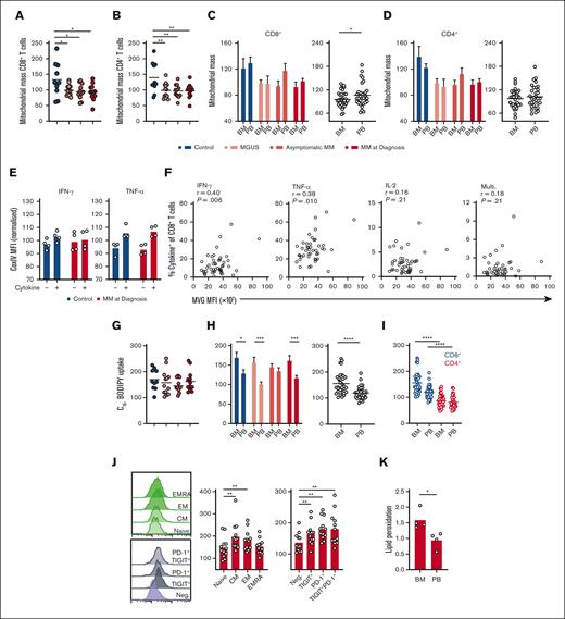 CD8+ T-cell mitochondrial mass and long-chain fatty acid uptake are altered during progression of MM and in the BM microenvironment. (A-B) Mitochondrial mass of (A) CD8+ and (B) CD4+ T cells within BM mononuclear cells from controls (n = 10), individuals with MGUS (n = 13), asymptomatic MM (asymptomatic; n = 11), or MM at diagnosis (diagnosis; n = 12) was assessed by flow cytometry using MVG and is expressed relative to the mean of each experiment. (C-D) Mitochondrial mass of BM and PB CD8+ and CD4+ T cells is directly compared for each group and for all patient samples combined. (E) CoxIV MFI of CD8+ T cells positive or negative for IFN-γ or TNF-α as indicated from control (n = 4) or MM at diagnosis (n = 4) samples. (F) Correlation of mitochondrial mass (MVG fluorescence) with frequency of BM CD8+ T cells positive (+) for the indicated cytokines for all patient samples combined. (G) C16-BODIPY uptake of BM CD8+ T cells within indicated groups expressed relative to the mean of each experiment. (H) C16-BODIPY uptake of BM and PB CD8+ T cells is directly compared for each group and for all patient samples combined. (I) C16-BODIPY uptake of BM and PB CD8+ and CD4+ T cells directly compared for all patients combined. (J) C16-BODIPY uptake of panel J NV, CM, EM, and EMRA BM CD8+ T-cell subsets and subsets expressing TIGIT and/or PD-1 as indicated from samples with MM at diagnosis (n = 12). (K) Lipid peroxidation capacity of CD8+ T cells within BM and PB mononuclear cells from patients with MM at diagnosis (n = 4), assessed using the lipid peroxidation probe Bodipy 581/591. For panels A-B,G,I-J, significance was calculated using 1-way ANOVA or for panels C-D (bars) and E,H (bars) 2-way ANOVA and Sidak multiple comparison tests; for panels C-D,H (circles) and K, a paired t test was used; and for panel F, Pearson correlation; ∗P < .05, ∗∗P < .01, ∗∗∗P < .0001, and ∗∗∗∗P < .00001.