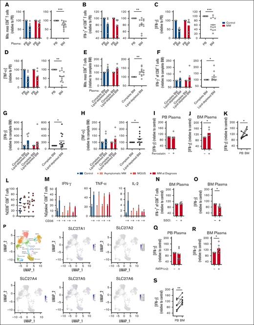 CD8+ T-cell function is impaired by BM long-chain fatty acid uptake via FATP1. (A-D) BM mononuclear cells from controls (n = 6) or patients with MM who had relapsed (n = 6) were cultured in autologous PB or BM plasma as indicated for 72 hours with stimulation via CD3/CD28. (A) CD8+ T-cell mitochondrial mass was assessed by flow cytometry using MVG and is shown for each group (left) and both groups combined (right). (B) At 72 hours, T cells were activated with PMA/ionomycin and expression of IFN-γ was assessed within CD8+ T cells by flow cytometry. (C-D) IFN-γ and TNF-α in cell culture supernatants was measured by ELISA. (E-H) BM mononuclear cells were cultured and assessed as in panels A-D but in either complete or lipid-depleted BM autologous plasma as indicated. (I-K) BM mononuclear cells from patients with MM at diagnosis (n = 6) were cultured in autologous PB (I,K) or BM (J-K) plasma as in panels A-D, in absence or presence of ferrostatin and assessed for IFN-γ expression by ELISA. (L) Proportion of CD8+ T cells expressing CD36 within indicated BM mononuclear cell samples from controls (n = 10), individuals with MGUS (n = 8), asymptomatic MM (asymptomatic; n = 9), or MM at diagnosis (diagnosis; n = 7) were assessed by flow cytometry. (M) Expression of IFN-γ, TNF-α, and IL-2 by CD36+ or CD36− CD8+ T cells within indicated BM mononuclear cell samples as in panel L. (N-O) BM mononuclear cells from patients with MM at diagnosis (n = 7) were cultured in autologous BM plasma as in panel A-D, in absence or presence of the CD36 inhibitor, SSO, and assessed for IFN-γ expression within CD8+ T cells by flow cytometry (N) or by ELISA (O). (P) single-cell RNA-sequencing UMAP projections of BM mononuclear cells from 2 patients with newly diagnosed MM, with cell type annotation (top left) and transcript abundance of indicated genes overlaid. (Q-S) BM mononuclear cells from patients with MM at diagnosis (n = 7) were cultured in autologous PB (Q,S) or BM (R-S) plasma as in panels A-D, in absence or presence of the FATP1 inhibitor, FATP1in2, and assessed for IFN-γ expression by ELISA. Significance was calculated using Wilcoxon matched-pairs signed rank test for panels A-H (circles), I-J,N-O,Q-R; and paired t test for panels K,S; ∗P < .05, ∗∗P < .01, and ∗∗∗P < .0001. UMAP, Uniform Manifold Approximation and Projection.