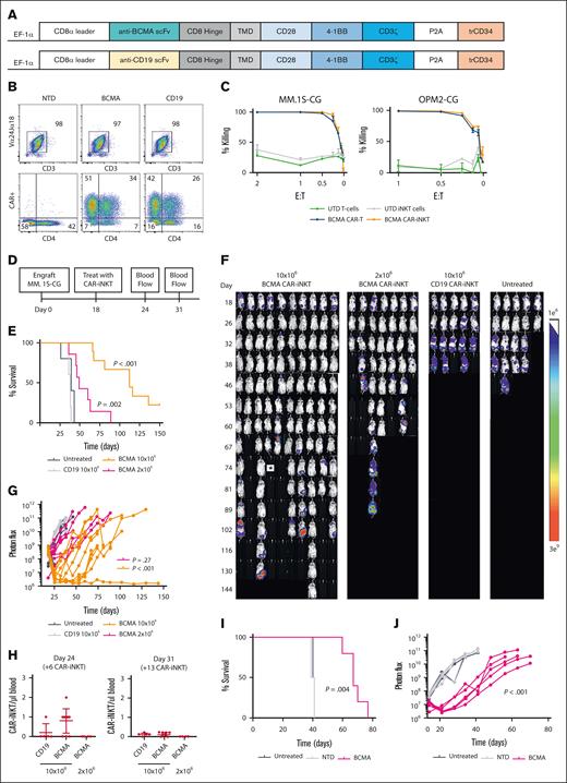 BCMA CAR-iNKTs demonstrate anti-myeloma activity in vitro and in vivo. (A) Constructs. Third-generation CARs comprised the single-chain variable fragment (scFv), a CD8 hinge, a CD28 transmembrane domain, CD28 and 4-1BB intracellular domains, and a CD3ζ chain. The extracellular domain of human CD34 protein (trCD34) after a P2A peptide was incorporated into the construct to enable detection of CAR+ T cells and purification of CAR+ cells for use in functional assays. (B) Flow cytometry showing iNKT purity, CAR+ cell levels, and CD4 distribution. Transduction efficiency before cell sorting was 10% BCMA CAR-iNKTs and 15% CD19 CAR-iNKTs. Data shown are the cells used in panels D to G. (C) BLI-based killing assay of MM.1S-CG and OPM2-CG targets by BCMA CAR-Ts and BCMA CAR-iNKTs 48 hours after coculture. (D) In vivo schema. (E) Kaplan-Meier survival analysis. (F) Normalized BLI images of mice. The asterisk denotes a mouse treated with BCMA CAR-iNKTs (10 × 106) that had low tumor burden but was euthanized because of suffering from a likely neck injury/ataxia. (G) Quantitation of tumor burden over time using BLI. (H) Flow cytometry of mouse blood was used to quantitate the absolute number of CAR-iNKTs per μL blood on day 24 (day 6 after BCMA CAR-iNKT administration) and day 31 after MM.1S-CG engraftment (day 13 after BCMA CAR-iNKT treatment). (I) Kaplan-Meier survival curve of a repeat experiment with mice treated with 2 × 106 BCMA CAR-iNKTs or controls. (J) Quantitation of tumor burden over time using BLI. P values for BLI were comparisons of either CD19 CAR-iNKTs or NTD iNKTs with BCMA CAR-iNKTs. TMD, transmembrane domain.