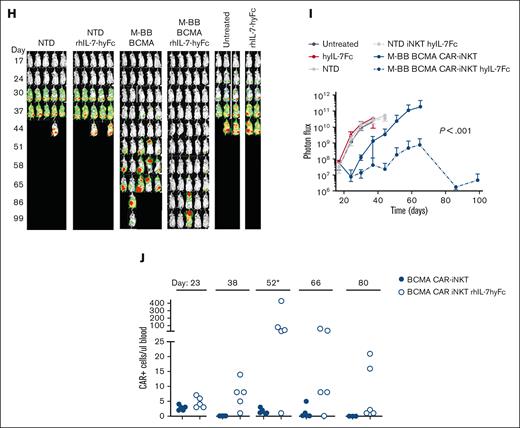 Anti-tumor efficacy of BCMA CAR-iNKTs is enhanced with rhIL-7-hyFc. (A) In vivo schema. Actively growing BCMA CAR-Ts, CD19 CAR-Ts, BCMA CAR-iNKTs and CD19 CAR-iNKTs were used in this experiment. rhIL-7-hyFc (10 mg/kg; NeoImmuneTech, Inc) was injected subcutaneously on days +1 and +14 after CAR-iNKT administration. (B) Kaplan-Meier survival curve. (C) Normalized longitudinal BLI images. (D) Quantitation of photon flux. (E) Absolute number of CAR-iNKTs per μL blood. Because the BCMA CAR-iNKTs were 100% CD4+ (not shown), we initially used CD45, CD3, CD4, and CD34 to track CAR+ iNKTs in vivo. On day 64, the panel was expanded and confirmed that all CD4+ cells were Vα24-Jα18+. (F) In vivo schema. Previously expanded and cryopreserved NTD and M-BB BCMA CAR-iNKTs were used in this experiment. Cells were thawed the day before injection and placed in the incubator overnight, counted, and injected into mice with MM1S-CG engraftment. (G) Kaplan-Meier survival analysis. (H) Longitudinal normalized BLI images. (I) Quantitation of BLI signal. (J) Absolute number of CAR-iNKTs per μL blood (CD45, CD3, Vα24-Jα18, and CD34). On day 52, total CD45+ cells are shown because of a technical issue.