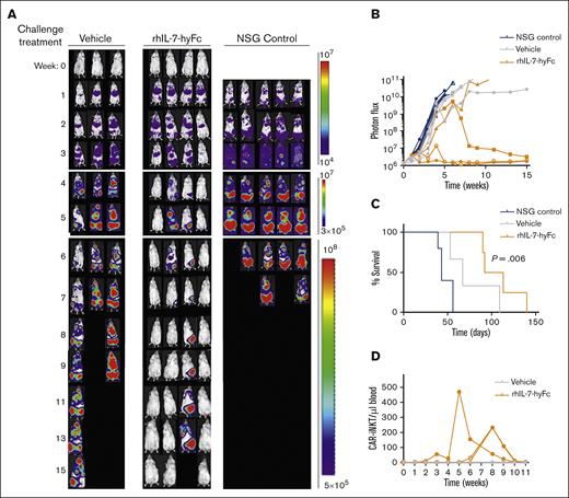 rhIL-7-hyFc enhances re-expansion and anti-myeloma efficacy of BCMA CAR-iNKTs in vivo. (A) The 7 rhIL-7-hyFc–treated tumor-free mice at the end of the experiment shown in Figure 2C (BCMA+ rh-IL7-hyFc) were subjected to re-challenge with MM.1S-CG cells and treated with vehicle or again with hIL-7-hyFc (10 mg/kg subcutaneously, the day of MM.1S-CG infusion and, again, 1 week later). Normalized BLI images of MM.1S-CG re-challenged mice. (B) Quantitation of BLI signal in each mouse. (C) Kaplan-Meier survival analysis. (D) Absolute numbers of BCMA CAR-iNKTs per μL blood (CD45 CD3 Vα24-Jα18 CD34) in re-challenged mice.