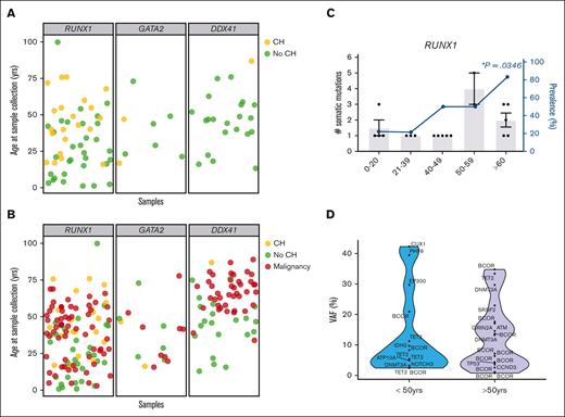 Defining the spectrum of CH in germline GATA2, RUNX1, and DDX41 carriers-without HM. (A) Each individual in the carriers-without HM cohort was defined as having CH (yellow) or no identifiable CH (no-CH, green), based on the identification of somatic clinically relevant variants, driver somatic variants. The age of the individual at the time of sample collection is indicated. (B) Correlation of the ages of malignancy development (HM, red) observed in the germ line malignancy cohorts with the carriers-without HM cohort, with (yellow) and without CH (green). (C) Demographics of individuals with CH variants in the RUNX1 germ line carriers-without HM cohorts. Column graph shows the number of somatic variants identified in individuals with CH. Error bars show the standard error of the mean. Line graphs show the prevalence of CH in the carriers-without HM germ line cohort in different age groups. ∗P < .05, logistic regression model. (D) Violin plots showing the distribution of VAFs of driver somatic variants (shown in panel A) in the germ line RUNX1 carriers-without HM cohort in individuals under the age of 50 years or >50 years old. VAFs for X-chromosome genes were normalized in male individuals to compensate for ploidy, enabling comparison with autosomal genes. HM, hematologic malignancy.