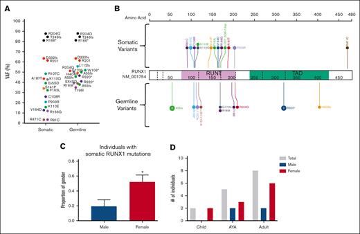 Somatic variants in RUNX1 are the most common event in the germ line RUNX1 carriers-with HM cohort. (A) Plot of acquired somatic RUNX1 variants and associated germ line RUNX1 variants. Data points are colored according to the somatic and associated germ line variant observed in the patient. VAF of more than 60% indicates a copy neutral loss of heterozygosity (CNLOH) or Trisomy 21. (B) Somatic and germ line RUNX1 variants are visualized using the ProteinPaint web application.30 Variants are colored according to the somatic and associated germ line variant observed in the patient. The number of probands for each variant is indicated within the circle where the number is greater than 1. All variants are annotated to RUNX1c; NM_001754.4; LRG_ 482. (C) The proportion of male and females harboring a somatic RUNX1 variant is significantly different. ∗P < .05. (D) Sex and age distribution of individuals with a somatic RUNX1 variant; adult ≥ 40 years, AYA = 15 to 39 years, children ≤14 years. Data points are colored according to the somatic and associated germ line variant observed in the patient. AYA, adolescents and young adults.