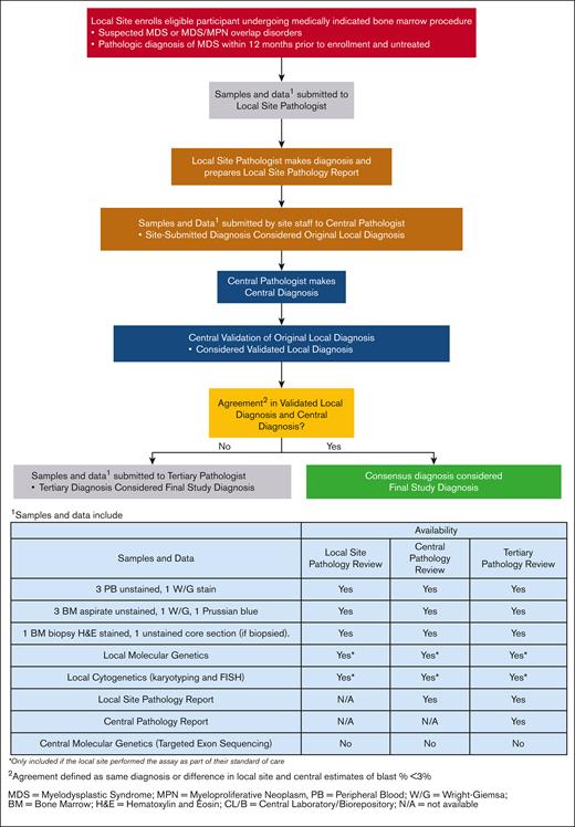 The National MDS Study pathology review flowchart.