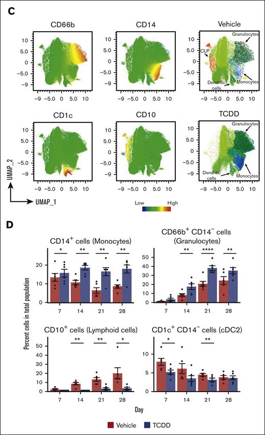 AHR activation by TCDD alters the development of several hematopoietic lineages. (A) Changes in cell clusters from vehicle and TCDD groups across the 28-day developmental period. Some of these changes are highlighted with red circles. (B) Percent of cells belonging to each scRNA-seq data associated cell cluster for Vehicle and TCDD-treated groups across the 28-day developmental period. (C) Representative UMAP plots of cells captured by flow cytometry on day 21, with major cell populations identified through expression of different lineage markers. Comparison of UMAP plots of an equal number of cells (30,000) from both vehicle and TCDD-treated groups; (D) Percent of cells belonging to major hematopoietic lineages captured using flow cytometry for vehicle and TCDD-treated groups across the 28-day developmental period. Data presented are composite of 6 independent experiments. Statistical significance of differences in percentage of cells between treatments at any time point was calculated using a 2-tailed paired t test. ∗P < .05; ∗∗P < .01; ∗∗∗∗P < .0001. Error bars show mean ± standard error of the mean. Refer to supplemental Figures 5 and 6 for gating strategy. cDC2, type 2 classical dendritic cells; CLP, common lymphoid progenitor.
