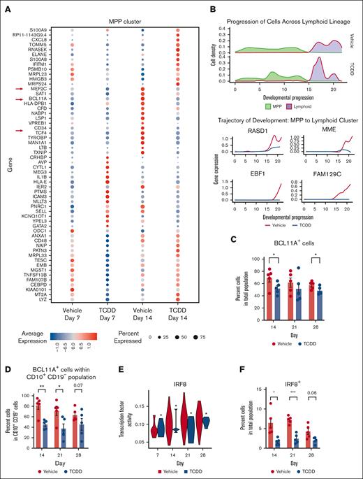 AHR activation suppresses critical genes and key transcription factors involved in B cell and dendritic cell development. (A) Dot plot of the average gene expression of TCDD-treatment induced differentially expressed genes in MPP (multipotent progenitor) cluster on days 7 and 14. All DEGs are associated with a Bonferroni adjusted P value <.05. (B) Density of cells along MPP to lymphoid cells trajectory and expression of the top 4 highly variable genes that are differentially expressed by TCDD treatment and are involved in the development of lymphoid cells. (C) Percent BCL11A protein–expressing cells in overall population from 5 independent experiments. (D) Percent BCL11A protein–expressing cells in CD10+ CD19– cells of vehicle and TCDD-treated groups across days from 5 independent experiments. (E) Transcription factor activity of IRF8 (analyzed by SCENIC) in pDC (plasmacytoid dendritic cell) cluster. Statistical significance of differences in TF activity between treatments at any time point was calculated using a Wilcoxon rank sum test. ∗P < .05. (F) Percent IRF8 protein–expressing cells in overall population from 5 independent experiments. (C-D,F) Protein expression was measured using flow cytometry. Error bars show mean ± standard error of the mean. Statistical significance of differences in percentage of cells between treatments at any time point was calculated using a 2-tailed paired t test. ∗ P < .05, ∗∗ P < .01, ∗∗∗ P < .001.