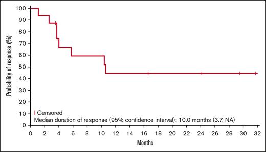 Kaplan-Meier estimate of the duration of response (updated analysis; n = 17).