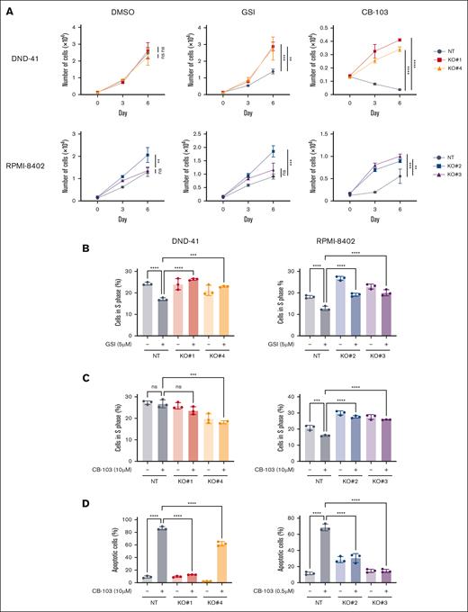 Loss of PIK3R1 leads to resistance to Notch inhibition in T-ALL cells. (A) Cell proliferation assays of T-ALL PIK3R1 KO cell lines under DMSO, CB-103, or GSI treatment conditions. Gray connected dots, NT control; and colored dots, representative PIK3R1 KO cell lines. (B) Cell cycle analyses of PIK3R1 KO cell lines performed 6 days after DMSO or GSI treatment at indicated concentrations. (C) Cell cycle analyses of PIK3R1 KO cell lines 24 hours after DMSO or CB-103 treatment at indicated concentrations. (D) Apoptosis assays of PIK3R1 KO cell lines performed 3 days after DMSO or CB-103 treatment at indicated concentrations. Experiments shown here were performed with 2 independent T-ALL cell lines, DND-41 and RPMI-8402. The values shown are mean ± standard deviation (SD) (n = 3 biologically independent samples, 2 independent experiments). One-way analysis of variance (ANOVA); nonsignificant (ns); ∗P < .0332; ∗∗P < .0021; ∗∗∗P < .0002; ∗∗∗∗P < .0001.