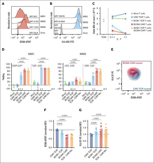 Primary multiple myeloma cells can be targeted efficiently by both eTCR- and CAR T cells. (A-B) Bone marrow mononuclear cells derived from 3 patients with MM were thawed and assessed by flow cytometry. MM cells were identified as CD3–CD19–CD45neg/lowCD38hiCD56hi/low. (A) Expression of BCMA vs unstained. (B) Expression of HLA-ABC vs unstained. (C-D) Fifty thousand bone marrow mononuclear cells from HLA-B7–positive MM materials 1 and 2 were incubated with indicated T cells derived from 2 donors at designated effector-to-target ratio (E:T) ratios (5000 T cells or 50 000 T cells; for combination of BOB1-TCR T cells and BCMA-CAR T cells 2500 or 25 000 of each T-cell population were added together). (C) Representative data showing counts of viable MM cells of MM material MM1 after overnight coculture with indicated T cells derived from 1 donor in technical duplicates. Viable MM cells were identified as sytox-blue–, CD3–CD19–CD45lowCD38hiCD56hi/low acquired in isovolumetric flow cytometry measurements. (D) Summary of killing data on MM materials MM1 (left) and MM2 (right) subjected to recognition by T-cell products generated from 5 different donors (indicated by symbols). Statistics depict repeated measures 2-way ANOVA (paired for donors, Dunnett post hoc test). (E) Representative data showing expression of BMCA and HLA-B∗07:02 on primary MM after exposure to BCMA-CAR T cells or CMV-TCR T cells in an E:T ratio of 0.1:1. (F-G) normalized gMFIs of BCMA (AF647) (F) and HLA B7 (PE) (G) on surviving MM cells after coculture with indicated T cells in an E:T ratio of 0.1:1. The symbol shapes are analogous to those in panel E. Pooled data of both MM materials as indicated by filled or open symbols (open: MM1, closed: MM2). Statistics in panels F-G depict repeated measures 1-way ANOVA (paired for donors, Dunnett post hoc test). MM, multiple myeloma; ANOVA, analysis of variance; gMFI, geometric mean fluorescence intensity.