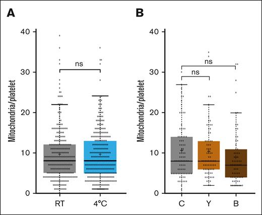The fission of mitochondria during platelet activation/spreading does not depend on microtubules or acto-myosin contraction. (A) Comparison of the number of mitochondria in platelets spread for 60 minutes on a glass surface under different assay conditions. Resting platelets were stained with mitoTracker and then incubated for 30 minutes either at RT (intact microtubules) or at 4°C (depolymerized microtubules). Platelets were then centrifuged onto glass surface in the cold before being placed at 37°C for 60 minutes. The graph illustrates the number of mitochondria in platelets combined from 4 different donors. Data comparison was performed using the 2-tailed Mann-Whitney test. (B-C) Comparison of the number of mitochondria in platelets spread for 60 minutes on a glass surface under different assay conditions. Resting platelets were stained with mitoTracker and then incubated for 30 minutes at RT with vehicle (C), 10 μM y-27632 (Y) or 50 μM blebbistatin (B). Platelets were then centrifuged onto the glass surface and placed at 37°C for 60 minutes. The graph illustrates the number of mitochondria in platelets combined from 2 different donors. Data comparison was performed using the 2-tailed Mann-Whitney test.