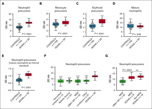 Box plots displaying the SSC ratios of marrow cells in patients with VEXAS syndrome and in controls. SSC ratios of (A) neutrophil precursors, (B) monocyte precursors, (C) erythroid precursors, and (D) mature neutrophils in VEXAS syndrome marrows (n = 26) compared with those of the entire control group (n = 106), using SSC intensity of CD4+ T cells as an internal control. (E) SSC ratio of neutrophil precursors in marrow samples of patients with VEXAS syndrome (n = 26) compared with that of the entire control group (n = 106), using SSC intensity of mature neutrophil instead of CD4+ lymphocytes as an internal control. (F) SSC ratio of neutrophil precursors in marrow samples of patients with VEXAS syndrome compared with that of subgroups of marrows in the control cohort, including non-VEXAS syndrome marrows with vacuolated cells, marrow samples of patients with aplastic anemia, marrow samples of patients with MDS UBA1-WT, and marrow sample of patients with other conditions (stressed marrows). (G) SSC ratio of neutrophil precursors in marrow samples of patients with VEXAS syndrome with MDS compared with marrows from those with MDS UBA1-WT (P < .0001) and non-MDS VEXAS syndrome (P = .55). In each graph, the boxes show median and lower and upper quartiles, and the whiskers show the full range of the data. Individual data (black dots) are superimposed on the box plots. ∗∗∗∗P < .0001 when SSC ratio of neutrophil precursors in each subgroup is compared with those of marrow samples of patients with VEXAS syndrome.