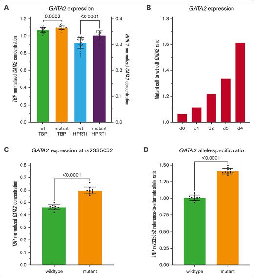 GATA2 expression in CRISPR/Cas9-modified HL-60 cultured cells. (A) Grand means from several independent dPCR experiments. The P values from t tests are shown in each panel when significant. The TBP and HPRT1 genes were used as reference control genes. The GATA2:TBP signal ratio for the wt enhancer is 1.067 ± 0.030 and for the A-to-T mutant is 1.093 ± 0.0209, and the GATA2:HPRT1 signal ratio for wt is 0.3065 ± 0.0215 and for the A-to-T mutant is 0.3353 ± 0.0173. (B) HL-60 dPCR mutant:wt cell GATA2 expression ratio normalized to HPRT1 expression. Expression increased in the mutant cell line through 4 days of continuous growth, with the average mutant:wt ratio of 1.269 ± 0.220. (C) GATA2 expression measured with rs2335052 allele-specific dPCR probes and normalized with TBP. The total expression is the sum of the 2 rs2335052 probes; wt 0.4623 ± 0.01968, mutant 0.5964 ± 0.02892 when normalized to TBP (t test; P ≤ .0001). (D) Ratio of the reference and alternate sequence alleles at rs2335052 in wt (1.007 ± 0.04127) and A-to-T enhancer mutant cell lines (1.408 ± 0.04411).