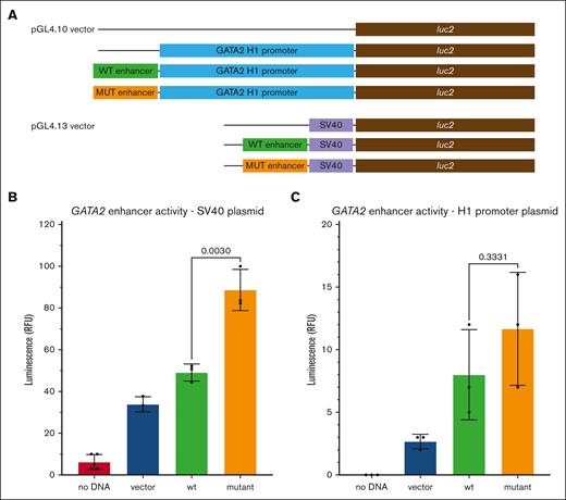 Luciferase assay for GATA2 enhancer variant activity. Plasmids expressing firefly luciferase were cotransfected with a reference plasmid expressing Renilla luciferase into HL-60 cells. The A-to-T mutant constructs are indicated as mutant. (A) Schematic diagram of the plasmid constructs used to assay enhancer activity (refer to “Methods”). (B) Plasmid containing the SV40 promoter with the wt and mutant GATA2 enhancer element. Grand means from 3 separate trials are shown with standard deviations. The normalized luminescence is plotted as relative fluorescence units (RFU). The mutant enhancer signal was significantly higher than the wt enhancer: no DNA, 6.200 ± 3.654; vector, 33.85 ± 3.623; wt, 49.10 ± 4.109; and mutant, 88.66 ± 9.860. (C) Plasmid containing the GATA2 H1 promoter fragment with the wt and mutant GATA2 enhancer element. The normalized luminescence is plotted as relative fluorescence units (RFU). Grand means from 3 separate trials are shown with standard deviations: no DNA, 0; vector, 2.667 ± 0.5774; wt, 8.000 ± 3.606; and mutant, 11.67 ± 4.509.