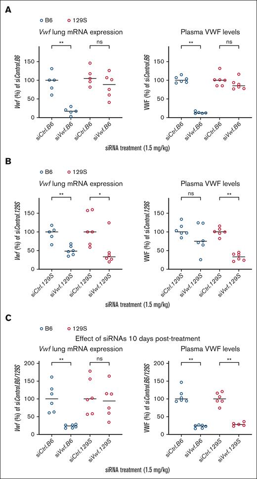 Allele-selective inhibition of Vwf in vivo in B6 and 129S mice treated with siVwf.B6 or siVwf.129S. (A) Lung mRNA expression and plasma levels of VWF in B6 (blue) and 129S (red) mice treated with siVwf.B6. Plasma and lungs were collected 96 hours after injection with siVwf.B6. (B) Lung mRNA expression and plasma levels of VWF in B6 (blue) and 129S (red) mice treated with siVwf.129S. Plasma and lungs were collected 96 hours postinjection with siVwf.129S. (C) Lung mRNA expression and plasma levels of VWF of siVwf.B6-treated B6 (blue) mice and siVwf.129S-treated 129S (red) mice. Mice were sacrificed 10 days after receiving their respective siRNA treatments to indicate the effect of a single siRNA injection after a prolonged time period. n = 6 mice per group, however, incidentally a blood sample was removed because of unwanted clotting activation (as established visually). Values are presented as median with range and is compared with the median of the corresponding scrambled siControl.B6 or siControl.129S-treated mice. P ≥ 0.05, ns; ∗P ≤ 0.05; ∗∗P ≤ 0.01.