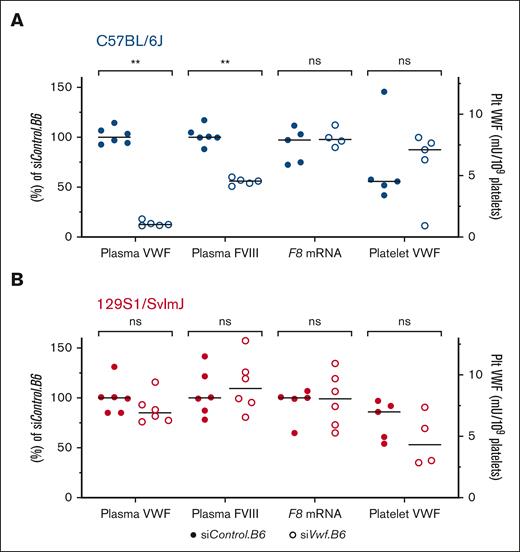 Secondary effects of allele–selective Vwf silencing. (A) The effect on plasma FVIII and platelet (Plt) VWF was assessed in plasma of siVwf.B6-treated B6 mice, and F8 transcript levels were measured on mRNA isolated from lungs of siVwf.B6-treated B6 mice. (B) The effect on plasma FVIII and Plt VWF was assessed in plasma of siVwf.B6-treated 129S mice, and F8 transcript levels were measured on mRNA isolated from lungs of siVwf.B6-treated 129S mice. The effect of plasma VWF, plasma FVIII, and F8 lung mRNA was all relative to the median of their respective siControl.B6 values (left y-axis), whereas for Plt VWF data were normalized as mU per 109 platelets (right y-axis). Individual values are presented with median. P ≥ 0.05, ns; ∗∗P ≤ 0.01. Note: plasma VWF data are the same as shown in Figure 4A and were used as reference for the other parameters of interest for clarity.