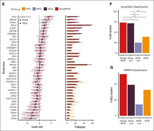 Mutational spectra of dark-zone DLBCL. (A-C) Venn diagrams showing the overlap in cases classified as MHG and DZsig across DLC (A), HMDS (B), and REMoDL-B (C) cohorts. Percentages are relative to the total number of cases classified as GCB-DLBCL in each cohort, and the size of each circle is proportional to the number of cases. Numbers outside the circles indicate GCB-DLBCL not classified as MHG or DZsig. (D) The mutational profile of GCB COO tumors across genes mutated in at least 10% of GCB tumors, stratified according to GEP classifications and annotated according to the published LymphGen or HMRN genetic classification and cohort. (E) Enrichment for coding or hotspot mutations among the genes shown in panel D. Positive values in the forest plot (left panel) indicate enrichment relative to GCB-DLBCL. The percentage of tumors within each group harboring 1 or more coding mutation per gene is shown in the right panel. MHG includes all MHG-classified tumors (MHG and DZsig&MHG) and DZsig includes all DZsig tumors (DZsig and DZsig&MHG). CREBBP∗: missense mutations in the CREBBP KAT domain. EZH2∗: Mutations at Y646 in EZH2. (F) The proportion of tumors belonging to each GEP classification group classified as EZB by the LymphGen classifier across the DLC and HMDS cohorts, separating MHG-only, DZsig-only, and DZsig&MHG tumors. ∗∗P < .01, ∗∗∗P < .001, ∗∗∗∗P < .0001. (G) The percentage of tumors belonging to each GEP classification group is classified as BCL2 by the HMRN classifier, separating MHG, DZsig, and DZsig&MHG tumors. No comparisons reached statistical significance.