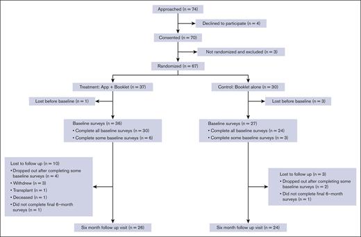 Consolidated Standards of Reporting Trials diagram.