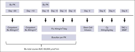 Study design. AUC, area under the curve; Cy, cyclophosphamide; MMF, mycophenolate mofetil; TAC, tacrolimus.