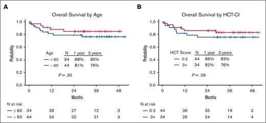OS according to age and comorbidity burden. OS based on (A) age and (B) HCT-CI.