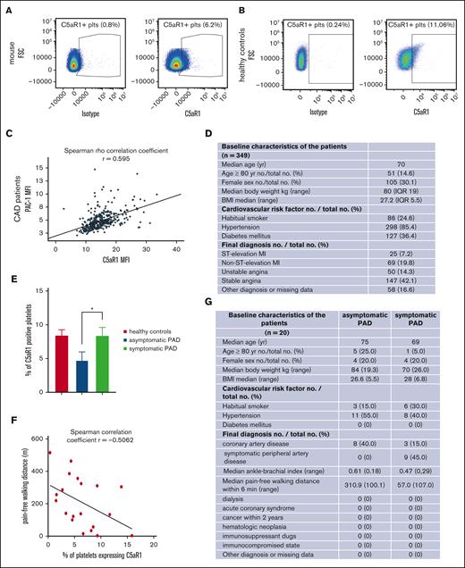 Upregulation of the complement anaphylatoxin receptor C5aR1 on platelets in patients with atherosclerotic disease and in ischemic tissue. (A) Dot plot depicting C5aR1 expression on murine platelets (right); the left side shows the dot plot obtained with an immunoglobulin G (IgG)-type matched isotype. The plot is representative of the analysis of 4 independent platelet samples. (B) Analyzing human platelets in whole blood by flow cytometry confirmed C5aR1 expression. Displayed is the staining with C5aR1 antibody (right), showing C5aR1+ platelets (CD41+CD45−C5aR1+) vs isotype control (left). (C) In patients with coronary artery disease, expression of C5aR1 and activated GPIIb/IIIa (activation-specific antibody PAC-1) on platelets was measured by flow cytometry. The correlation of C5aR1 with activated GPIIb/IIIa is depicted. Spearman rank coefficient, rs = 0.59, P < .001, n = 349 patients. (D) Baseline characteristics of the analyzed patients with coronary artery disease (CAD). (E) In patients with PAD, C5aR1 expression was decreased in asymptomatic disease compared with symptomatic patients and healthy controls. A total of 20 patients were included in the study, and 7 controls. Data are shown as the mean ± standard error of the mean (SEM) and are displayed as the fraction of C5aR1-expressing platelets (%), ∗P < .05 (F) Furthermore, we observed that the fraction of platelets expressing C5aR1 correlates with pain-free walking distance in patients with PAD. r = −0.5062, P < .05. (G) Baseline characteristics of the analyzed patients with PAD.