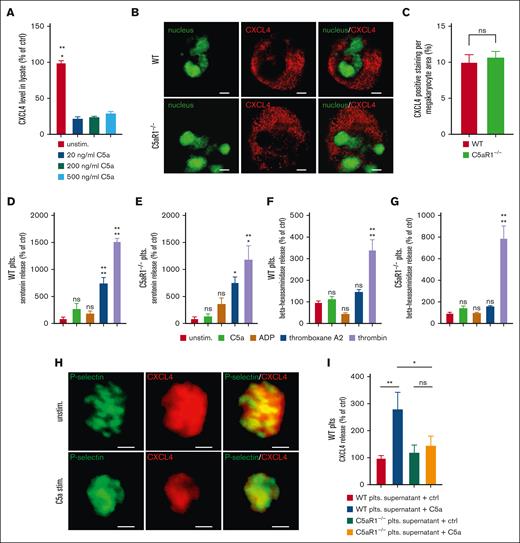 Regulation of CXCL4 secretion from platelets by C5a. (A) To determine the secretion of CXCL4 from platelets upon exposure to different C5a concentrations (20-500 ng/mL), lysates were prepared from the stimulated platelets, and levels of remaining intracellular CXCL4 were determined by ELISA. Data are shown as the mean ± SEM (n = 4-7) and are displayed as % of control. The CXCL4 protein level of unstimulated platelet supernatant represents 100%. ∗P < .05 in comparison to control. (B) Murine megakaryocytes from WT vs C5aR1−/− mice were assessed for the content of CXCL4-predominant granules (red). Displayed are images representative of 10 to 12 single megakaryocytes analyzed; nuclei are shown in green. 630× original magnification, scale bars represent 10 μm. (C) We quantified CXCL4 staining in 11 vs 14 images of megakaryocytes from WT or C5aR1−/− mice. This quantification showed no difference in the area of the CXCL4 signal in relation to the area of the whole cell between both genotypes. Data represent mean ± SEM. n = 11 to 14. n.s. = no statistically significant difference was observed. (D-G) Serotonin levels (indicating dense granules) or β-hexosaminidase levels (indicating lysosomes) were analyzed in the supernatant of isolated murine platelets after stimulation with activators, as indicated in the figure. We observed no relevant secretion after C5a stimulation, in contrast to classical platelet activators. Data are shown as the mean ± SEM (n = 4-9) and are displayed as % of control. The respective protein level of unstimulated platelet supernatant represents 100%. ∗∗∗P < .001, ∗∗P < .01, ∗P < .05 in comparison to control. ns = no significant difference was measured. (H) Single platelets from WT mice were stimulated with C5a or vehicle control. Granules were stained green for P-selectin and red for CXCL4, yellow areas represent overlay, that is, P-selectin-CXCL4 double-positive α granules. 630× original magnification, scale bars represent 1 μm. Images are representative of >100 analyzed single platelets. (I) Washed murine platelets from WT or C5aR1−/− mice were stimulated with C5a. The supernatant was analyzed by ELISA for the level of CXCL4. C5a stimulation yielded significant CXCL4 secretion only in WT platelets but not in C5aR1−/− platelets. Data are shown as the mean ± SEM. n = 8. ns = no significant difference was measured; ∗P < .05; ∗∗P < .01.