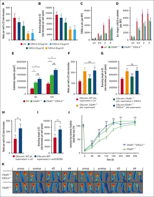C5aR1-induced inhibition of neovascularization by platelets depends on CXCL4 secretion and is distinct from platelet activation. (A-B) Murine endothelial cells (MHEC-5T) were incubated in wells on Matrigel with increasing concentrations of CXCL4 (0.5-10 μg/mL), and branching points of forming tubes as well as branching lengths were determined as indicated in “Materials and methods” (also refer to supplemental Figure 19). Data are displayed as the mean ± SEM (n = 7). ∗P < .05. (C-D) We generated C5aR1−/−CXCL4−/− double knockout mice. Platelets isolated from these animals were stimulated with ADP, and the expression of platelet activation markers CD62P or activated GPIIbIIIa were analyzed by flow cytometry. Data are shown as the mean ± SEM (n = 5) and are displayed as geometric MFI. ∗P < .05 in comparison to WT control. ns = no significant difference was measured. (E) Platelets from WT, C5aR1−/−, or C5aR1−/−CXCL4−/− mice were stimulated with C5a, and the supernatant was added to endothelial cells (MHEC-5T). In comparison to C5aR1−/− and C5aR1−/−CXCL4−/− platelet supernatant, coincubation with C5a-conditioned WT platelet supernatant led to lower endothelial migration. Double-deficient platelet supernatant did not differ significantly from C5aR1−/− platelet supernatant. Data represent mean ± SEM. n = 6. ∗P < .05. (F-G) MHEC-5T cells were incubated with the C5a-stimulated supernatant of platelets isolated from WT, C5aR1−/−, and C5aR1−/−CXCL4−/− mice. In 1 group, the supernatant of C5aR1−/− platelets was additionally supplemented with CXCL4 (2 μg/mL). C5a-stimulated WT platelet supernatant inhibited endothelial tube formation, which was not detectable in C5aR1−/− and C5aR1−/−CXCL4−/− platelets. Reconstitution with CXCL4 in the C5aR1−/− group led to a similar level of tube formation as in the control WT group. Data are displayed as the mean ± SEM (n = 4-5). ∗∗P < .01, ∗P < .05. (H-I) Similarly, MHEC-5T cells were incubated with the C5a-stimulated supernatant of platelets isolated from WT mice but additionally treated with a blocking antibody to the CXCL4 receptor, CXCR3. Data are displayed as the mean ± SEM (n = 7). ∗P < .05 in comparison to IgG control. (J-K) HLI was induced in C5aR1−/− mice or C5aR1−/−CXCL4−/− mice and a WT control group, which were generated as described in the “Methods.” Double knockout mice showed no increased revascularization in comparison to C5aR1−/− mice. Data are presented as the mean ± SEM (n = 5-7) and are displayed as a percentage of the perfusion in the contralateral control limb. n.s. = no significant difference could be observed compared with C5aR1−/− animals. (M) Shows representative LDI images of mouse hind limbs after femoral artery ligation and during revascularization over 14 days.