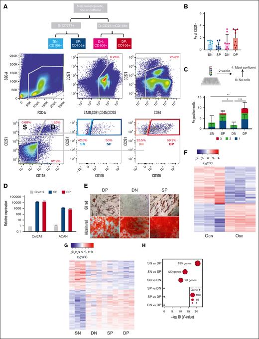 Overlap between a human mesenchymal progenitor subset with murine mesenchymal progenitors whose alteration can promote MDS. (A) Gating strategy for the prospective isolation of mesenchymal subsets in human BM filters. Cells are a mix of BM and digested bone spicules. (B) Frequency of the distinct mesenchymal subsets within the live nonhematopoietic, nonendothelial cells. (C) Frequency of wells testing positive for cell growth of sorted single cells. Wells are scored on a scale from 1 (least confluent) to 3 (most confluent). Data represent 6 independent samples and are presented as mean ± standard deviation (SD). Indicated significance was calculated using 2-way analysis of variance; ∗P < .05; ∗∗P < .01; ∗∗∗P < .001. (D) Relative expression of Col2A1 and ACAN in SP and DP cells differentiated into the chondrogenic lineage. (E) Oil and alizarin red staining for adipogenic and osteogenic differentiation of human BM or spicules mesenchymal subsets. (F) Heatmap of DEGs between Ocn-labeled osteoblasts and Osx-labeled osteoprogenitors; more than twofold change; FDR < 0.05. (G) Heatmap of DEGs between human mesenchymal subsets (3 independent samples for each); more than twofold change; FDR < 0.05. (H) Overlap of DEGs between different human mesenchymal subsets with DEGs between Ocn- and Osx-labeled mouse mesenchymal cells. x-axis shows the statistical significance of the overlap shown as P value on a log scale. Dot size represents the number of overlapping genes.