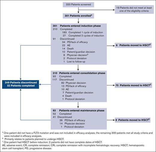Patient disposition.