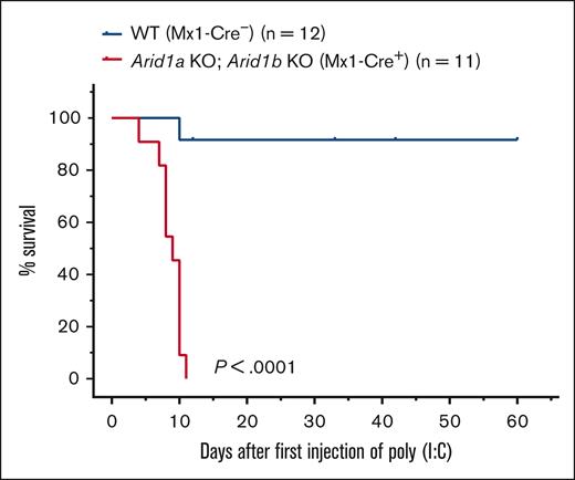 Acute deletion of both ARID1A and ARID1B in hematopoietic compartment in adult mice leads to rapid mortality. Kaplan-Meier curves show survival of double-KO (Arid1afl/fl;Arid1bfl/fl;Mx1-Cre+) and control (Arid1afl/fl;Arid1bfl/fl;Mx1-Cre−) mice. Mice were administered poly(I:C) to induce recombination of Arid1a and Arid1b alleles in Arid1afl/fl;Arid1bfl/fl;Mx1-Cre+ mice. Study Day 0 is the day of administration of first dose of poly(I:C). P < .0001 calculated using log-rank (Mantel-Cox) test.