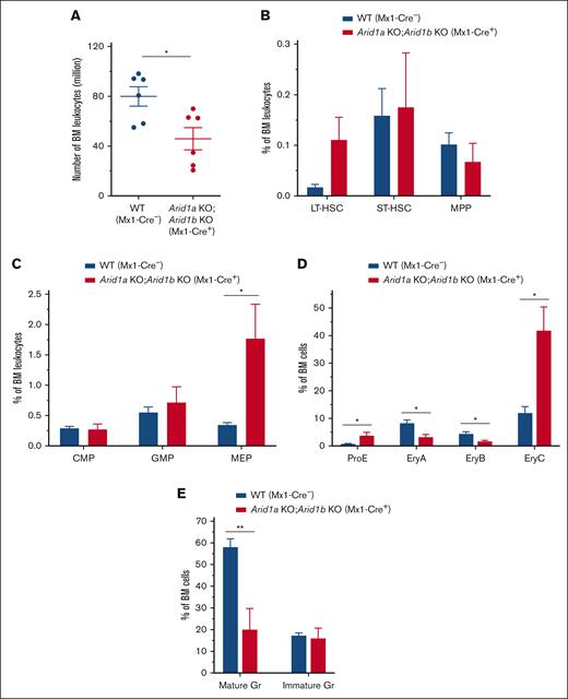 Dual loss of ARID1A and ARID1B in hematopoietic compartment results in swift failure of hematopoietic development in mice. (A) BM cellularity in ARID1A and ARID1B double-deficient mice enumerated 2 to 4 days after third injection of poly(I:C). Cell counts represent number of leukocytes obtained from 2 femurs and 2 tibias for each mouse. (B) Percentages of HSC subsets, LT-HSCs, ST-HSCs, and MPP cells, in the BM of Arid1afl/fl;Arid1bfl/fl;Mx1-Cre+ and control mice analyzed at 2 to 4 days after third injection of poly(I:C); n = 5 for control, and n = 5 for double-KO mice. (C-D) Frequencies of myeloid (C) and erythroid precursors (D) in flow cytometric evaluation of the BM of ARID1A and ARID1B double-deficient and WT mice assessed at 2 to 4 days after third injection of poly(I:C); proE, CD71+TER119lo; EryA, CD71+TER119+FSChi; EryB, CD71+TER119+FSClo; and EryC, CD71−TER119+FSClo; n = 5 for control, and n = 5 for double-KO mice. (E) Percentages of mature (CD11b+Gr1hi) and immature (CD11b+Gr1med) granulocytes in the BM of WT and Arid1b KO mice; n = 5 for control, and n = 5 for double-KO mice. Control animals in these experiments comprised of either Arid1a+/fl;Arid1bfl/fl;Mx1-Cre− or Arid1afl/fl;Arid1bfl/fl;Mx1-Cre− mice. Data are represented as mean ± SEM. Statistical difference between WT and KO mice was calculated using unpaired t test and is denoted as ∗P < .05.