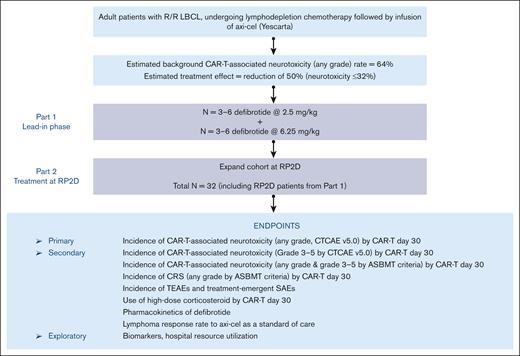 Study design. ASBMT, American Society for Blood and Marrow Transplantation; CTCAE, Common Terminology Criteria for Adverse Events; R/R, relapsed or refractory; SAE, serious adverse event.