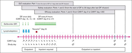 Study treatment schedule and doses. DF, defibrotide.