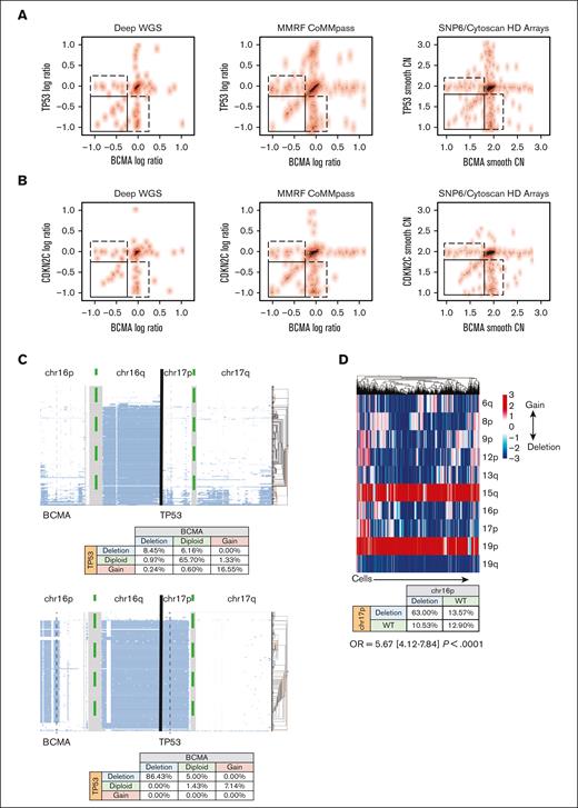 Correlation between monosomy 16p and high risk events. (A-B) The CN of BCMA and TP53 within each patient across various genomic platforms, assessed using bulk genomic data. Log ratio of sequencing coverage is shown on the left and middle panels for WGS data sets. Smooth copy number estimated from the SNP array is used on the right panels. Top panels show BCMA and TP53 locus (A) for each patient (a dot in the scatter plot) in 3 data sets, and bottom panels (B) show BCMA and CDKN2C loci. Spearman rank correlation ρ for samples in the bottom left corner box (samples in which both genes are deleted) is 0.65 (P value = 6.27e–06) for the WGS data sets and 0.53 (P value = 2.6e–05) for SNP array in the top panels and 0.67 (P = 8.67 e−08) and 0.65 (P = 7.8e–07) in the bottom panels, respectively. (C) CN estimates of the single cells (each row in panels) for 2 patients (right and left panels). Clusters or single cells are shown with histograms on the right of each panel. Genomic regions from the beginning of the chromosome 16p arm to the end of the chromosome 17 q arm are shown on the x-axis. The coverage and data quality are shown in the bottom panels. The co-occurrences of CN events are shown in the bottom tables for each patient. Vertical gray lines are used to mark BCMA and TP53 locations. (D) (Top) Graphs showing the co-occurrence of deletions (blue) and gains (red) of CNAs at the single-cell level in a relapsed patient. Each column is a cell. (Bottom) Table showing the co-occurrence of deletions and duplications of BCMA and TP53.