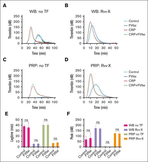 No detectable role of blood-borne tissue factor in whole blood TG. (A-D) TG in whole blood or PRP was triggered with vehicle medium (A,C) or Rvv-X activator (dilution, 1e–6) (B,D). Where indicated, samples were pretreated with CRP-XL (25 μg/mL) and/or factor VIIai (FVIIai, 1 μg/mL). Given are representative TG curves (n = 3) as well as the curve parameters lagtime (E) and thrombin peak level (F). Means ± standard deviation (SD) (n = 3), 2-way ANOVA. ns, no statistical significance. WB, whole blood.