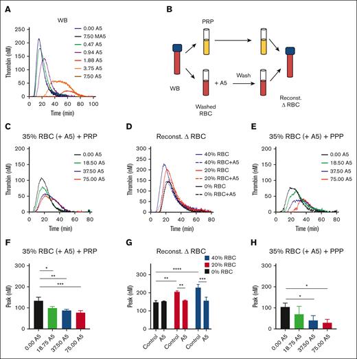 Contribution of RBC-exposed phosphatidylserine to TG. (A) TG was triggered by 0.1 pM tissue factor in the WB in the presence of annexin A5 (A5; 0.47-7.50 μg/mL) or mutant annexin A5 (MA5; 7.50 μg/mL), which lacks Ca2+- and phosphatidylserine-binding sites. Shown are representative calibrated curves of 3 independent experiments. (B) Schematic procedure of using isolated RBC, treatment with annexin A5 triple wash in the presence of 2 mM CaCl2, and reconstitution with autologous PRP. (C,F) TG effect of RBC treatment with different annexin A5 concentrations (A5, 18.5-75.0 μg/mL) reconstituted at 35% hematocrit in the presence of platelets. Indicated are representative TG curves (C) and thrombin peak levels (F). Means ± SD (n = 3), 1-way ANOVA, ∗P < .05; ∗∗P < .01; ∗∗∗P < .001. (D,G) TG effect of RBC treatment with vehicle or 37.5 μg/mL annexin A5, reconstituted at 20% or 40% hematocrit. Representative TG curves (D) and quantified thrombin peak levels (G). Means ± SD (n = 3); 2-way ANOVA, ∗P < .05; ∗∗P < .01. (E,H) TG effect of RBC treatment with different annexin A5 concentrations (A5, 18.5-75.0 μg/mL) reconstituted at 35% hematocrit in the absence of platelets. Representative TG curves (E) and quantified thrombin peak levels (H). Means ± SD (n = 3), 1-way ANOVA, ∗P < .05. Full data are in Datafile 1. Note: 0% RBC plus annexin A5 refers to a triple washing with Hepes buffer. Reconst, reconstituted.