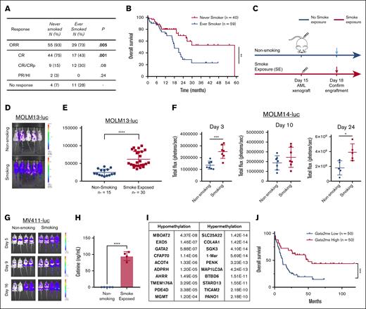 Effects of cigarette smoke exposure in patients and mouse models with FLT3-mutant AML. (A) Table with response rates of patients shown in Figure 1B. Values are n (%). χ2 test analysis was used for categorical variables. (B) Overall survival curve of patients (from panel A) (P = .0092). (C) Schematic representation of SE and AML introduction timeline for mouse modeling of smoking. (D) Representative MOLM13-luc bearing mice 3 days after being NS or SE. (E) Bioluminescent flux shown of MOLM13 bearing mice (n = 15 for NS and n = 30 for SE mice). (F) Leukemic burden of MOLM14-bearing mice 3, 10, and 24 days after injection (n = 7 mice per group for days 3 and 10; n = 5 for NS; and n = 4 for SE on day 24). (G) Representative mice exposed to NS or SE bearing the MV411-luc cells after days 5, 9, or 16 of engraftment. (n = 4 per group). (H) Cotinine levels in urine from NS or SE mice in ng/mL (n = 4). (I) Table with the top hypermethylated and hypomethylated genes from SE in AML cells from mouse spleens as compared with NS mice. (J) The Cancer Genome Atlas (TCGA) data from NEJM 2013 study.6 Patients with quartile of high or low Gata2 methylation survival depicted. ∗P < .05; ∗∗P < .01; ∗∗∗P < .001; ∗∗∗∗P < .0001. CR, complete remission; CRi, complete remission with incomplete count recovery; FLT3i, FLT3 inhibitor; HI, hematologic improvement; N, number; ORR, overall response rate; PR, partial response.