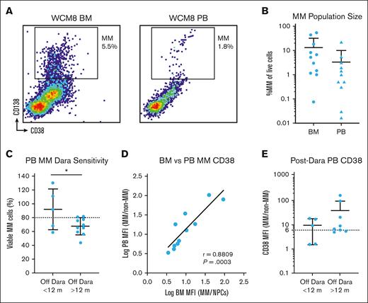Peripheral blood (PB) measurement of Dara sensitivity. (A) Representative example of matched bone marrow (BM) and PB samples from a patient stained for MM cells analyzed by flow cytometry, showing a similar but smaller population in the blood. (B) Overall, the frequency of MM cells in the blood was nearly 1 order of magnitude less than that observed in the BM. (C) Similar to the BM My-DST, the PB sample showed that MM cells were more sensitive to Dara if the patient had been off that drug for >1 year. (D) The CD38 expression levels on MM cells in the PB were highly congruent with those in the BM from matched populations. Pearson r value is shown with its associated P value; the solid line represents linear regression. (E) CD38 levels on circulating MM cells in the blood are low <12 months from the last dose of Dara, then increase after >12 months. Statistical comparisons shown were performed using unpaired t tests.
