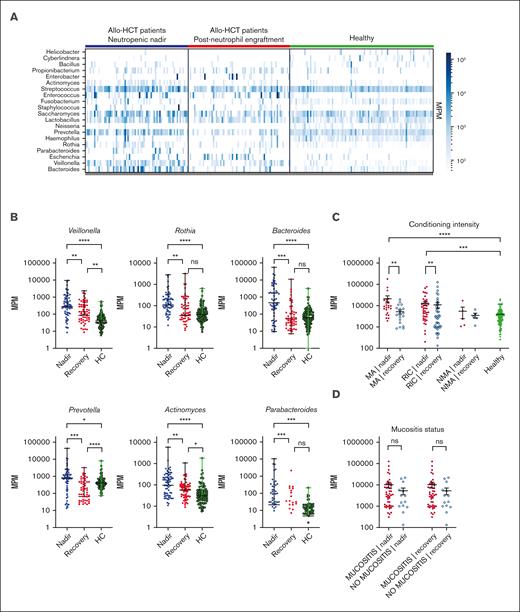 Total MPM and a number of specific taxa are elevated in samples from patients after transplantation. (A) Heatmap of bacterial mcfDNA mapped to genus-level bacterial taxonomy in patient plasma samples (n = 71 patients with 142 samples; 99 healthy control subjects with 99 unique samples). Each column is a plasma sample; each row is a genus. For this analysis, taxa shown are those present in >10 samples with >200 MPM and aggregated at the genus level. (B) Quantification of top differentially abundant taxa (genus). Each point represents a blood sample. (C) Correlation of total MPM with conditioning intensity. (D) Correlation of total MPM with the presence of oropharyngeal mucositis (no comparisons were statistically significant). Nonparametric (Wilcoxon) testing was used throughout (∗∗∗∗P <.0001; ∗∗∗P 0.0001-0.001; ∗∗P = .001-0.01; ∗P = .05-0.01). HC, healthy control; ns, not significant.