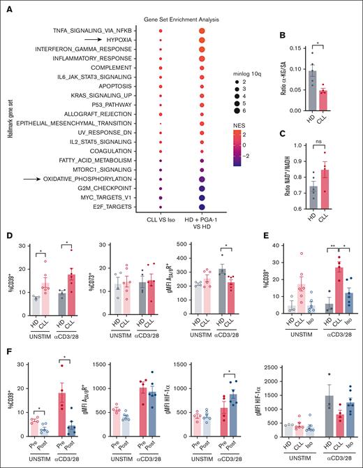 Primary CLL cells induce a hypoxic signature on autologous T cells. (A) CLL cells were depleted from their PBMCs fraction using the EasySep T cell enrichment kit. The whole PBMC fraction (CLL) or the isolated fraction were stimulated with anti-CD3/28 antibodies for 48 hours. CD4+ T cells were sorted using fluorescence-activated cell sorter for transcriptomic analysis and GSEA was performed on normalized counts (DESeq2 median of ratios normalization) using Hallmark Signatures (h.all.v7.4). This analysis was compared with GSEA performed on HD T cells cultured in the presence or absence of PGA-1 cells, and common altered pathway are shown in the dotplot. Color scale indicate the mean NES of Hallmark pathways, with NES > 0 representing upregulation of specified pathway in CD4+ T cells stimulated in the presence of CLL cells or PGA-1 and NES < 0 denoting downregulation of the specified pathways. Significance is represented by the negative value of log10q (minlog10q) and expressed by the size of the dots. (B) Plot representing the ratio of intracellular α-KG to SA in arbitrary units. (C) Plot representing the ratio of NAD+ to reduced NAD in arbitrary units. (D) PBMC from patients with CLL and HDs were thawed and stimulated with anti-CD3/28 antibodies and CD4+ T cells were analyzed for CD39, CD73, and A2A/BR expression. (E) CLL cells were depleted from PBMCs from patients with CLL with EasySep T cell enrichment kit. The whole PBMC fraction (CLL) or the isolated fraction (iso) were stimulated with anti-CD3/28 antibodies for 48-hours, and CD4+ T cells were analyzed by flow cytometry for expression of CD39 and HIF-1α. (F) PBMCs of patients with CLL before and after undergoing 12 to 24 cycles of venetoclax plus obinutuzumab were analyzed by flow cytometry for expression of CD39, CD73, A2A/BR, and HIF1 on CD4+ T cells after a 48-hour stimulation with anti-CD3/CD28 antibodies. Data are presented as mean ± SEM. ∗∗∗P < .001; ∗∗P < .01, ∗P < .05; ns (1-way ANOVA followed by Tukey multiple comparison test or t test).